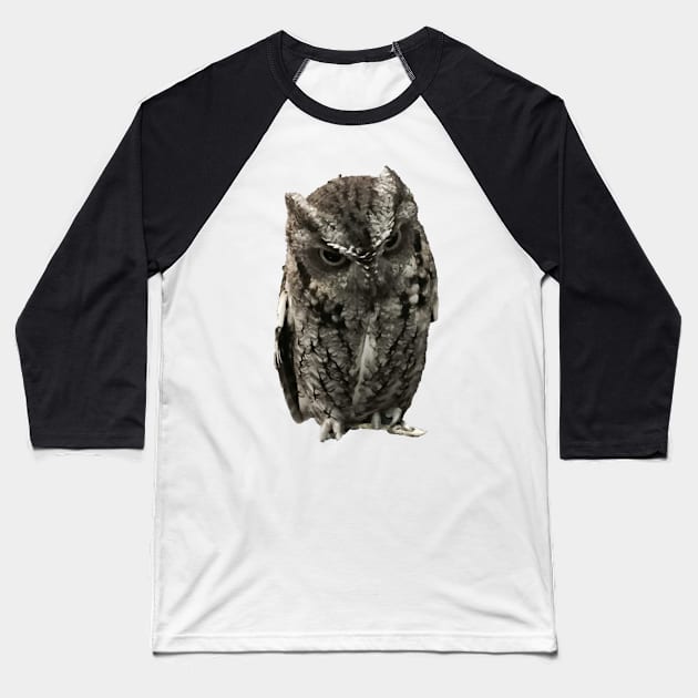 Disapproving Owl Close-up Pic Baseball T-Shirt by InalterataArt